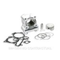 Cilindro Malossi Aluminio Rieju Marathon Pro 125
