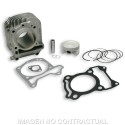 Cilindro Malossi D.63 Piaggio Liberty Iget 125 Euro5