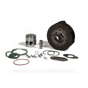 Cilindro Malossi s/culata Vespa Primavera 125