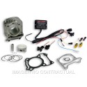 Cilindro Completo Malossi I-Tech Piaggio Liberty IGet 125
