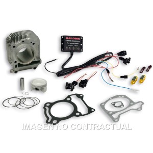 Cilindro Completo Malossi I-Tech Piaggio Liberty IGet 125