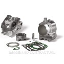 Grupo térmico Malossi Piaggio 250 4T