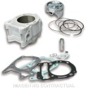 CILINDRO MALOSSI I-TECH PIAGGIO BEVERLY HPE 300 E5