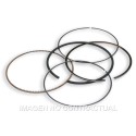 Segmentos D. 75,5 mm
