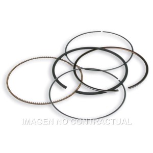 Segmentos D. 75,5 mm