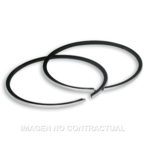 Segmentos D.57,5 X 1,5 Neo´S 100