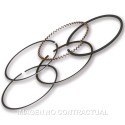 SEGMENTOS MALOSSI D.49 PIAGGIO LIBERTY 50 IGET
