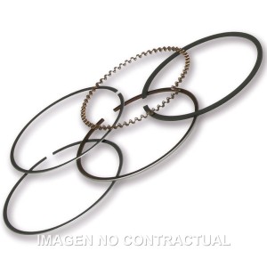 SEGMENTOS MALOSSI D.49 PIAGGIO LIBERTY 50 IGET