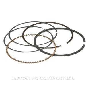 Segmentos D. 74X1 mm Majesty 250, Leonardo 250