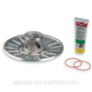 Semipolea De Embrague Aprilia Leonardo 250