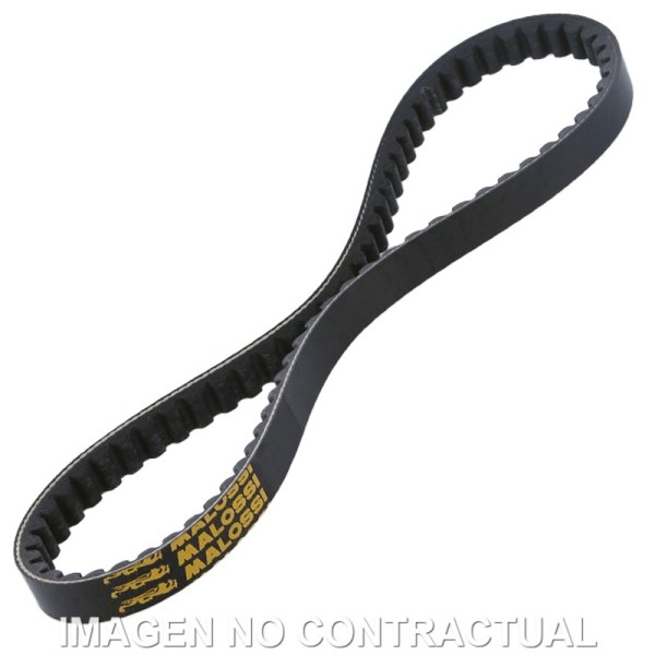 CORREA TRANSMISION MALOSSI HONDA WALLAROO 50