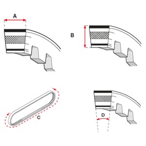 CORREA TRANSMISION MALOSSI HONDA WALLAROO 50