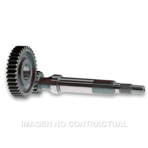 Desarrollo Primario 15/43 Derbi Predator