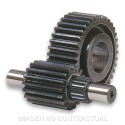 Desarrollo Secundario 14/43 Majesty 125