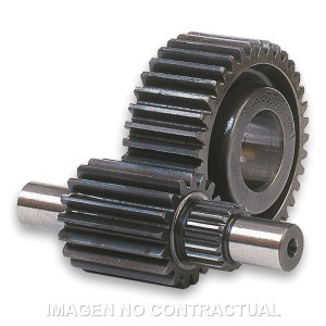 Desarrollo Secundario 14/43 Majesty 125