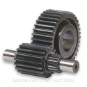 Desarrollo secundario HTQ 15/47 Dientes