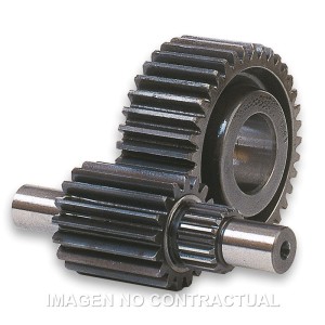 Desarrollo secundario HTQ 15/47 Dientes