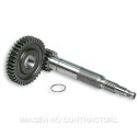 Desarrollo Primario Largo Zip Sp 2000