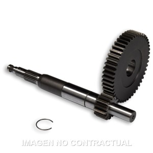 Desarrollo Primario Largo Gilera DNA