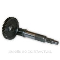 Desarrollo Primario HTQ 16/44 Honda Pantheon 150I