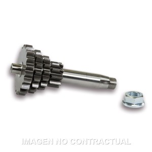 Engranaje c/Cambio Múltiple Vespa Primavera 125