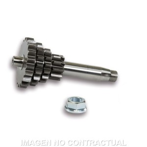 Engranaje c/Cambio Múltiple Vespa Primavera 125