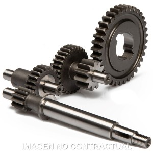 Desarrollos primarios Malossi HTQ Piaggio Ciao 50