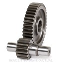Desarrollo Secundario Largo Hexagon, Typhoon 125