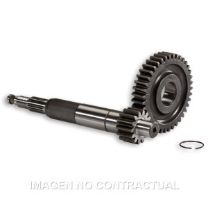 Desarrollo Primario Largo Gilera Runner