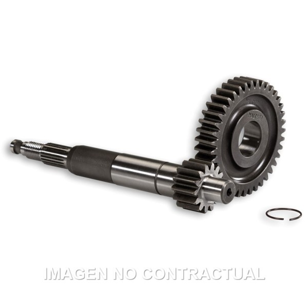 Desarrollo Primario Largo Gilera Runner