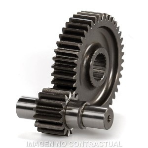 Desarrollo Secundario Runner 125