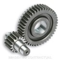 Desarrollo Secundario Largo C/Jaula D.17mm Zip Fast Rider