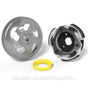 Embrague Maxi Fly System Malossi Honda Forza 125 ABS