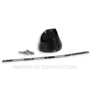 Kit terminal Carbono Escapes Malossi RX