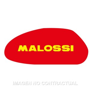 Filtro Aire Malossi Majesty 250, Leonardo 250