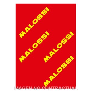 Hoja elemento filtrante Malossi Red Sponge