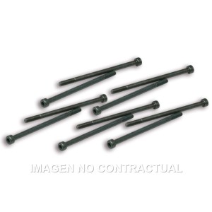 Tornillos Fijación Pinzas Variador Malossi Competición