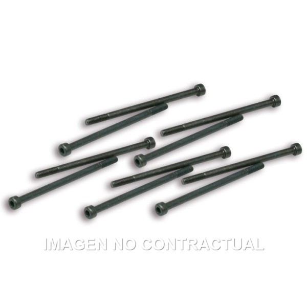 Tornillos Fijación Pinzas Variador Malossi Competición