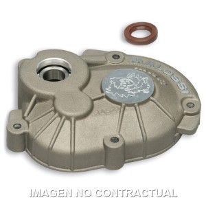 Tapa cubre desmultiplicador Motor PIAGGIO.
