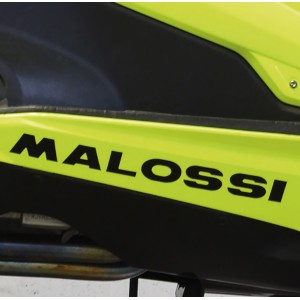 ADHESIVO MALOSSI LEON NEGRO