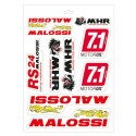 Hoja adhesivos Malossi Varios