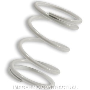 Muelle Polea Conducida Blanco Foresight 250