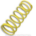 Muelle Polea Conducida Amarillo Foresight 250