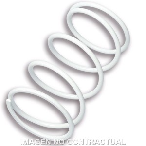 Muelle Polea Conducida Gilera Runner VXR 180