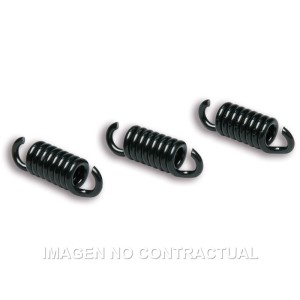 Muelles Embrague Delta Clutch FXR