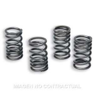 Muelles Embrague Original Motor AM6 TZR 50
