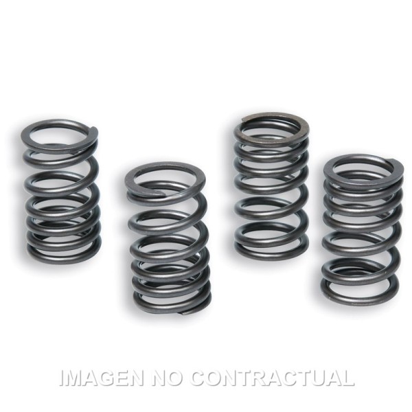 Muelles Embrague Original Motor AM6 TZR 50