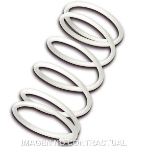 Muelle Polea Conducida Blanco Peugeot