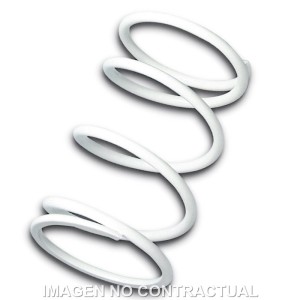 Muelle Polea Conducida Blanco Honda SH 300