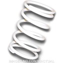 Muelle Polea Conducida Blanco Gilera GP 800